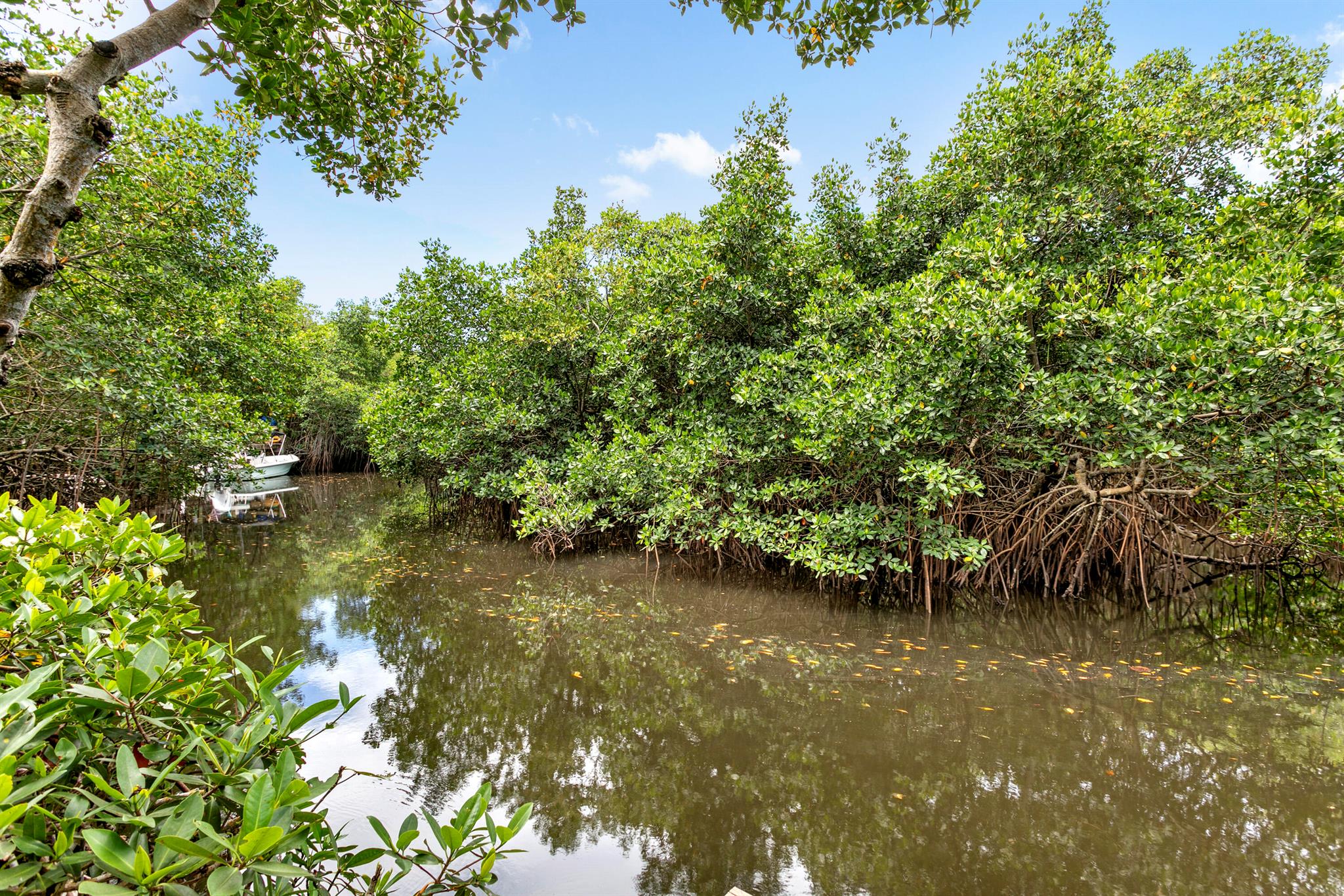 JUPITER WOODS - Residential