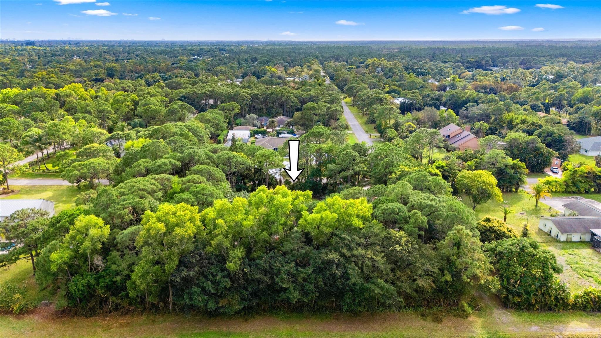 Palm Beach Country Estate - Residential