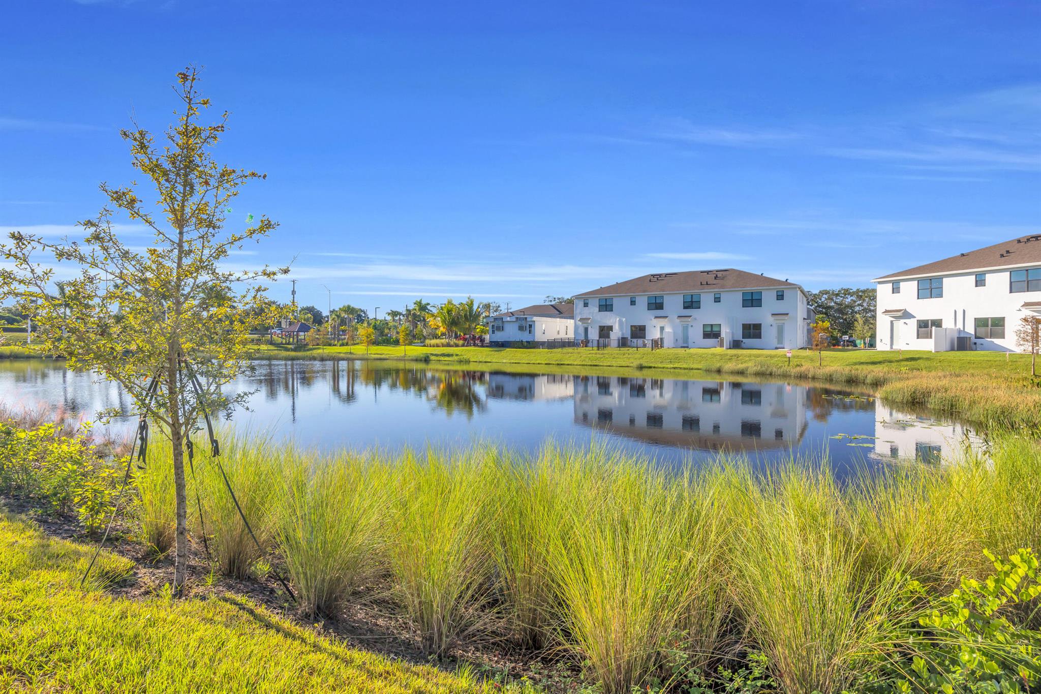 CAMELLIA - Residential Lease