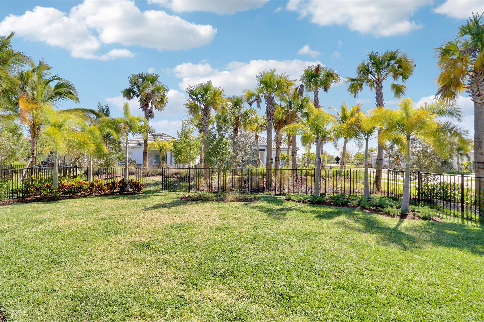 Avondale at Avenir - Residential