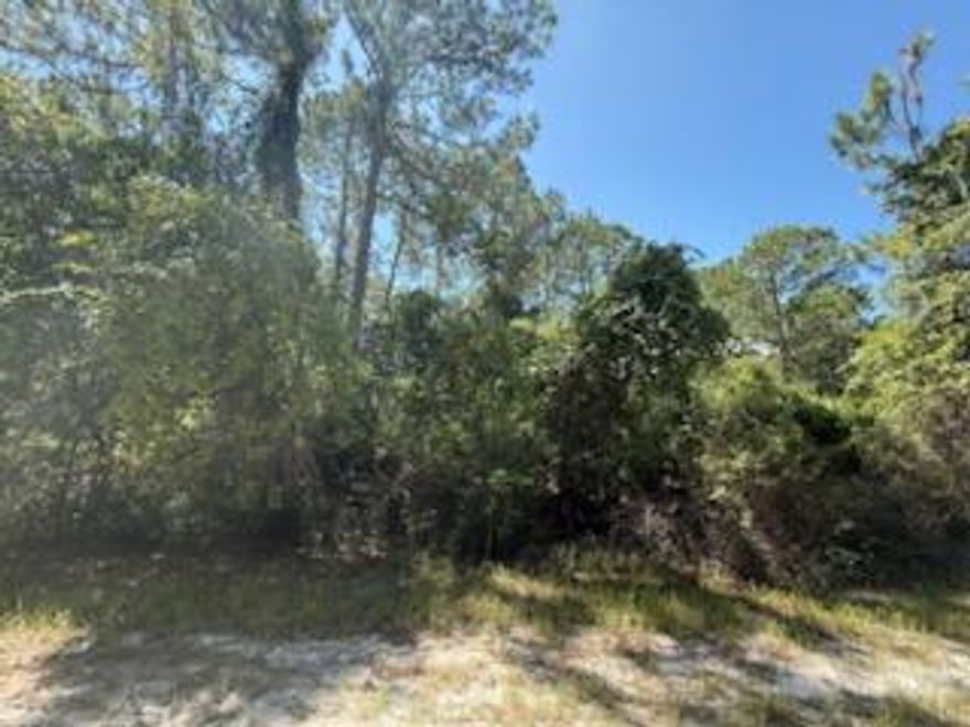 OWNER FINANCING AVAILABLE! Opportunity awaits with this vacant lot at 337 Palm Way in Georgetown, FL 32139! Located in the peaceful and natural surroundings of Putnam County, this parcel offers a great setting for your future home, weekend getaway, or investment project. With access to nearby lakes, the St. Johns River, and local recreation, this is the perfect spot for nature lovers, boaters, and outdoor enthusiasts. Zoned for residential use—buyer to verify specific zoning, utilities, and building requirements with the county. Don't miss your chance to own a slice of Florida paradise!
