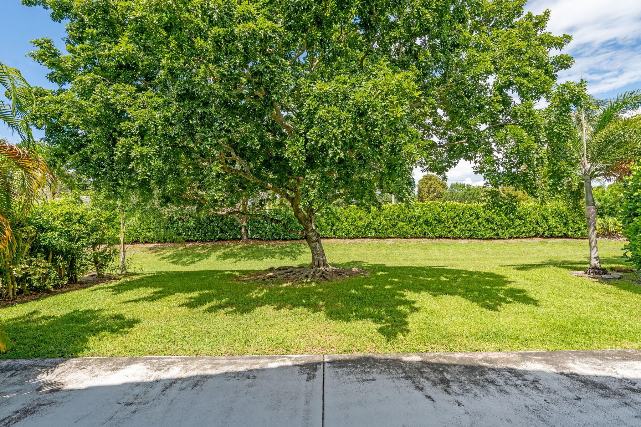 Parkside Estates 170-35 B - Residential Lease