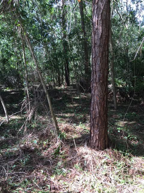 Jupiter Farms - Land