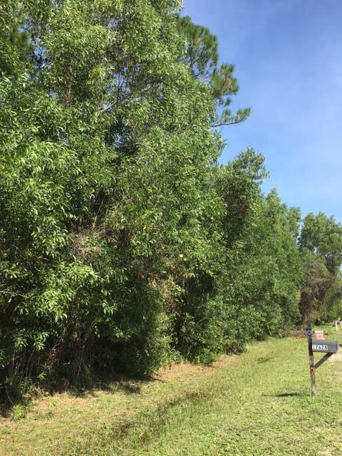 Jupiter Farms - Land