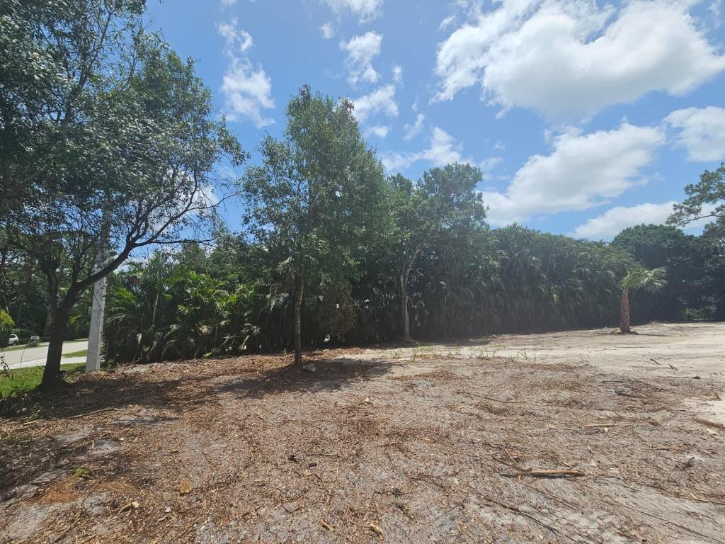 Photo of 17854 Tangerine Boulevard, The Acreage, FL 33470 (MLS # R11119874)