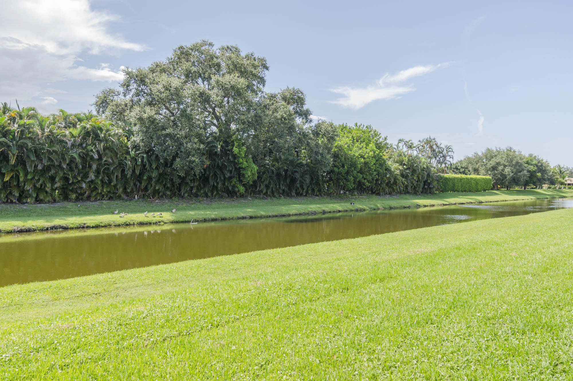 10693 N Military Trail 11