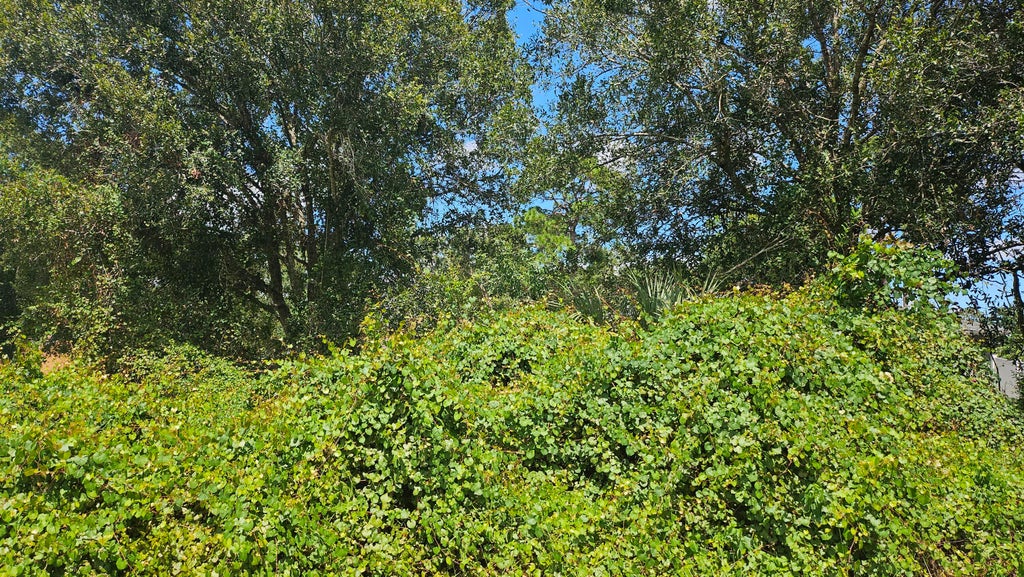 Photo of 1785 SW Day Street, Port Saint Lucie, FL 34953 (MLS # B26074219)