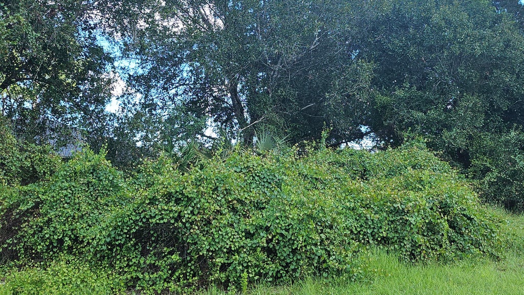 Photo of 1785 SW Day Street, Port Saint Lucie, FL 34953 (MLS # B26074219)