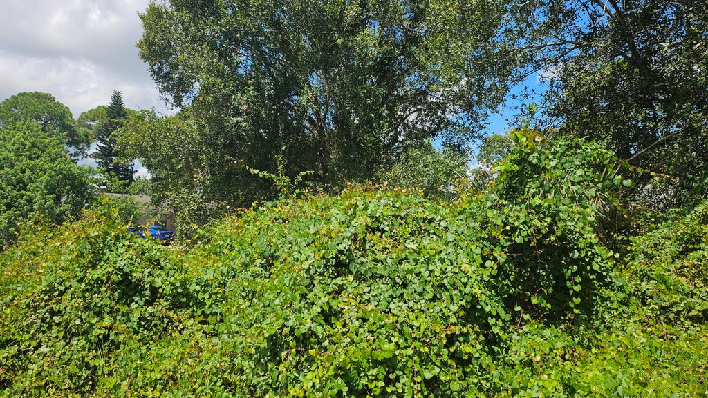 Photo of 1785 SW Day Street, Port Saint Lucie, FL 34953 (MLS # B26074219)