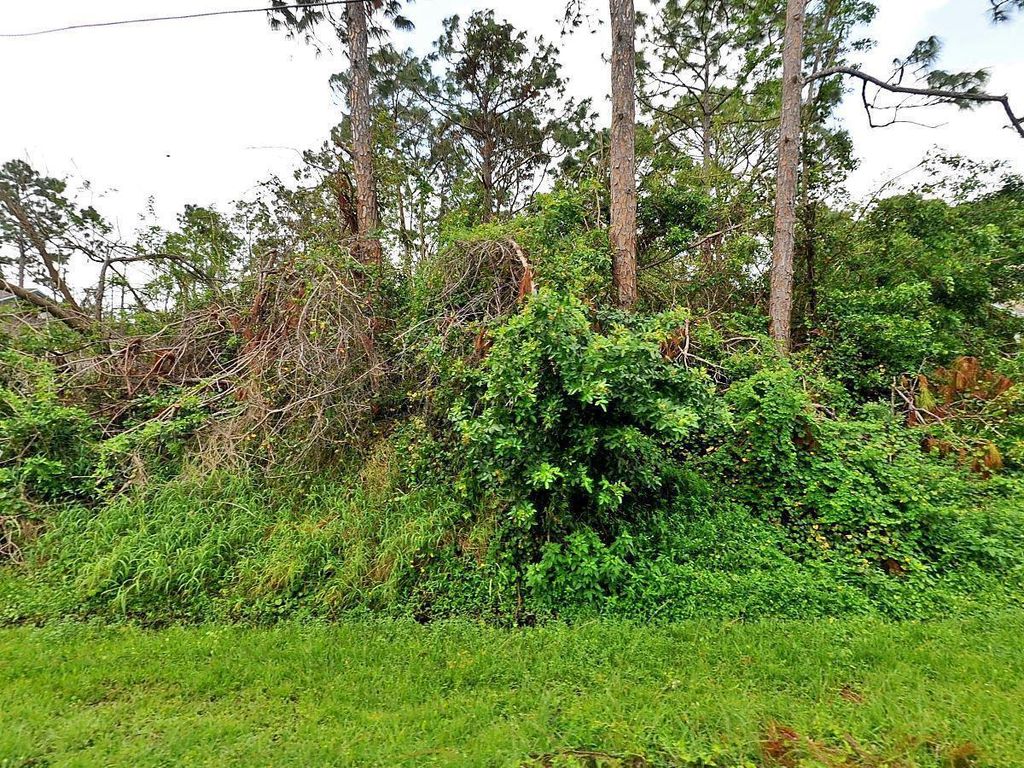 Photo of 1726 SW Brisbane Street, Port St Lucie, FL 34984 (MLS # R10897963)