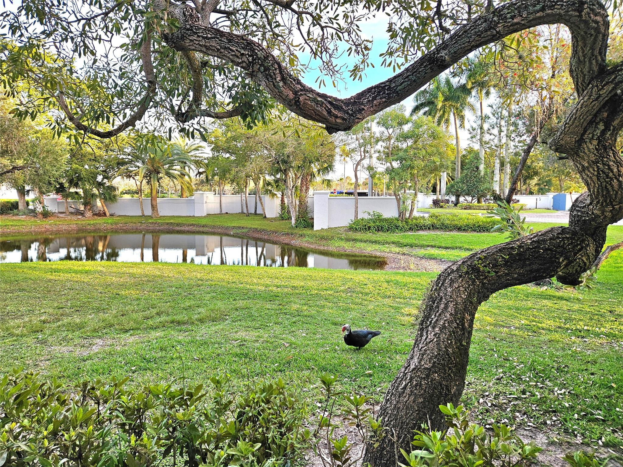 Coco Parc Condo - Residential