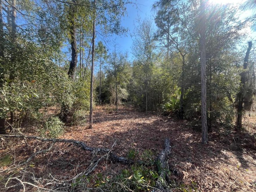Build your Home or bring your new Mobile Home to this peaceful wooded lot. Keystone Heights offers many lakes for water sports, Gold Head State Park for exploring and camping, along with trails for bicycling. Town is centered between Palatka, Gainesville and Jacksonville. Investing in land in Florida is a wise choice for your future, whether you're looking to build your dream home, a vacation getaway, a rental property, or simply let the land appreciate as a valuable long-term asset to resell at a profit in the future