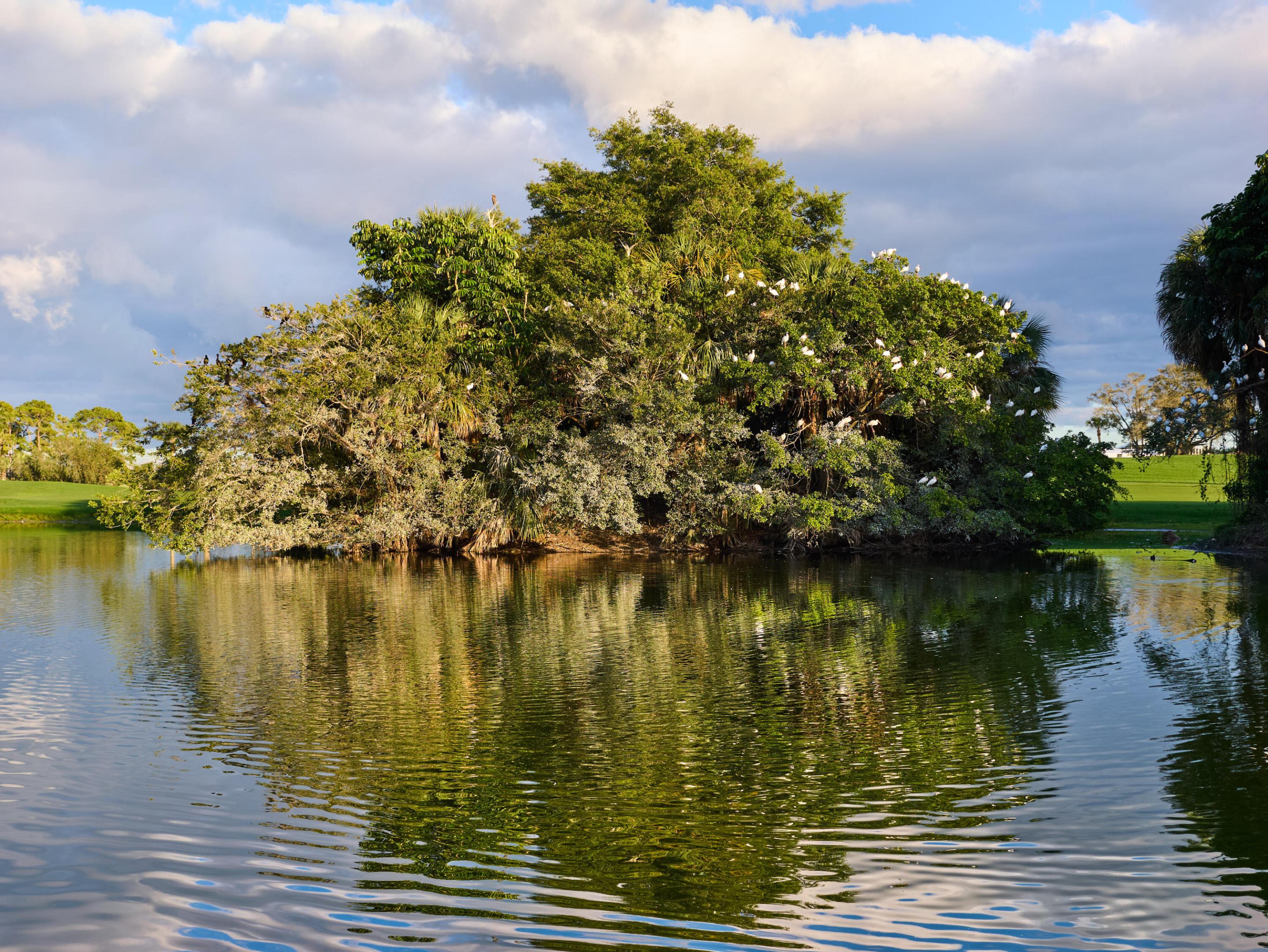 Ryder Cup Villas at PGA National - Residential
