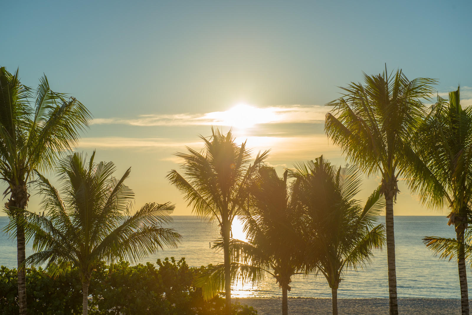 LAS OLAS BY THE SEA EXT - Residential