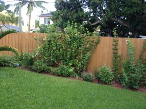 Northwood Add In Pb 8 Pgs - Residential Lease