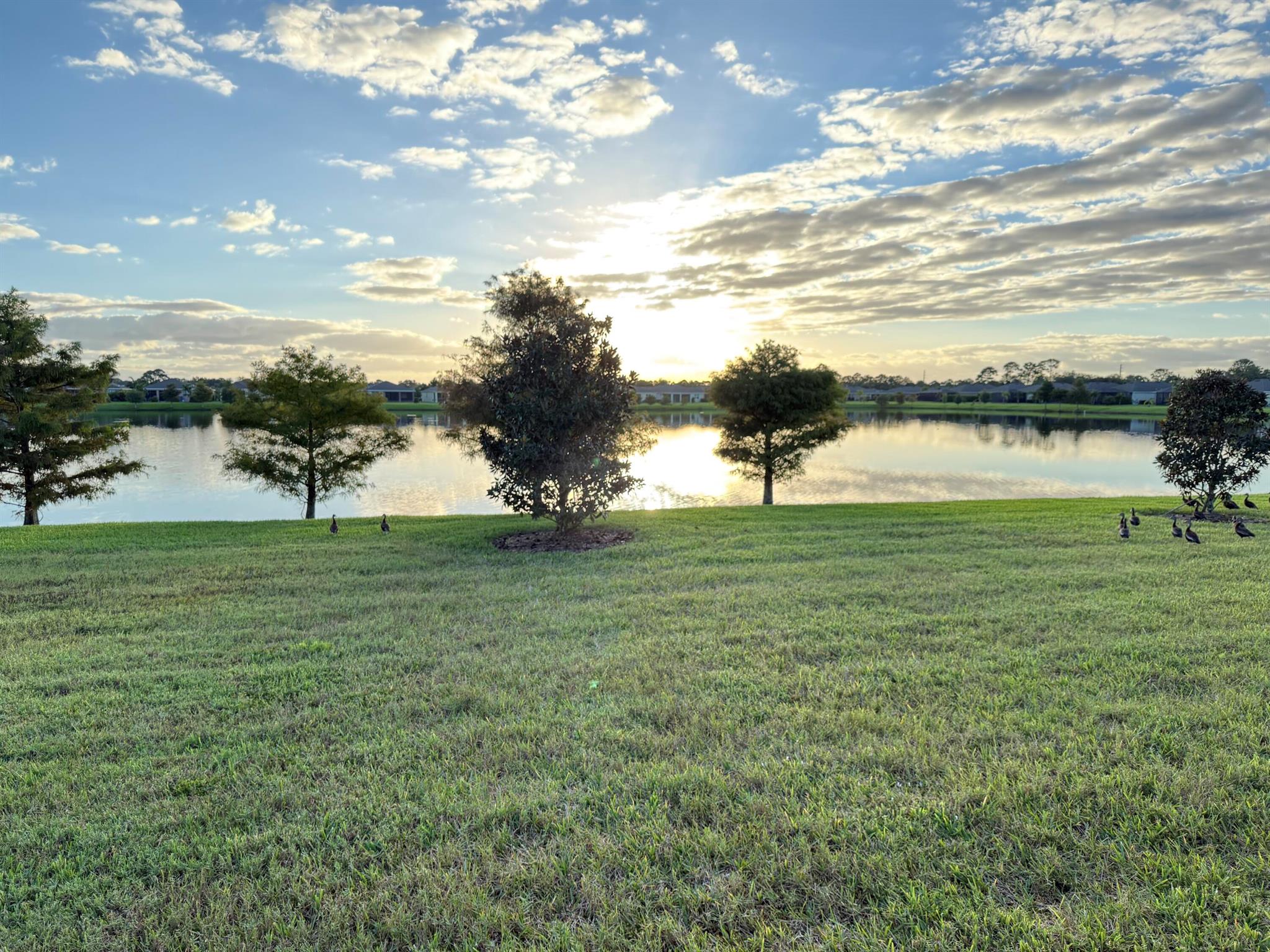 COVE AT FALCON TRACE - Residential Lease