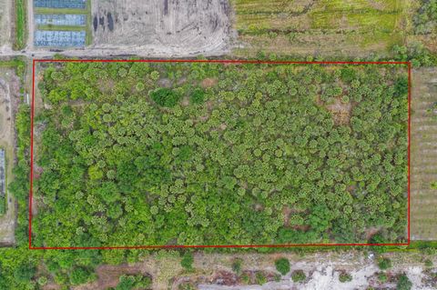 Unimproved Land in Indiantown FL Xxxx Cardamine Street 7.jpg