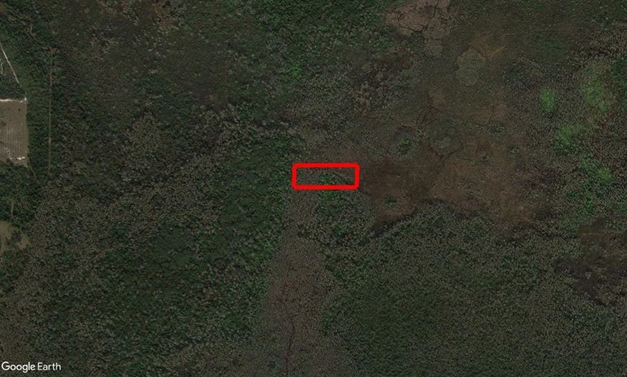 Holopaw offers vast, open spaces and abundant trails perfect for four-wheeler enthusiasts, making it a haven for off-road adventures. The area’s rich wildlife and serene natural environment provide excellent hunting opportunities for outdoor enthusiasts. Owning property in Holopaw ensures easy access to these activities, creating a personal retreat in the heart of Florida’s wilderness.