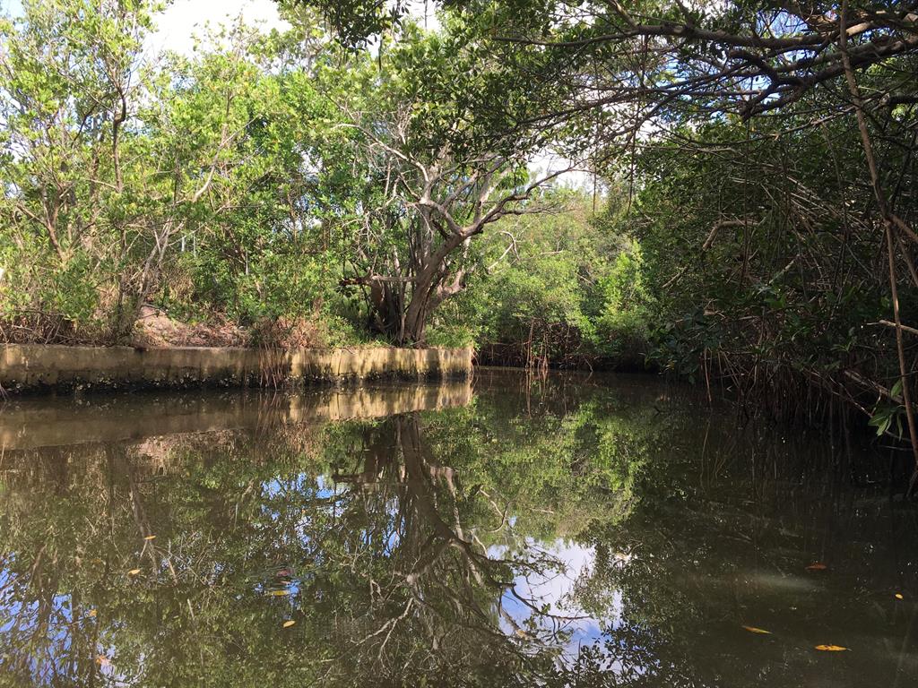 metes and bound - Residential