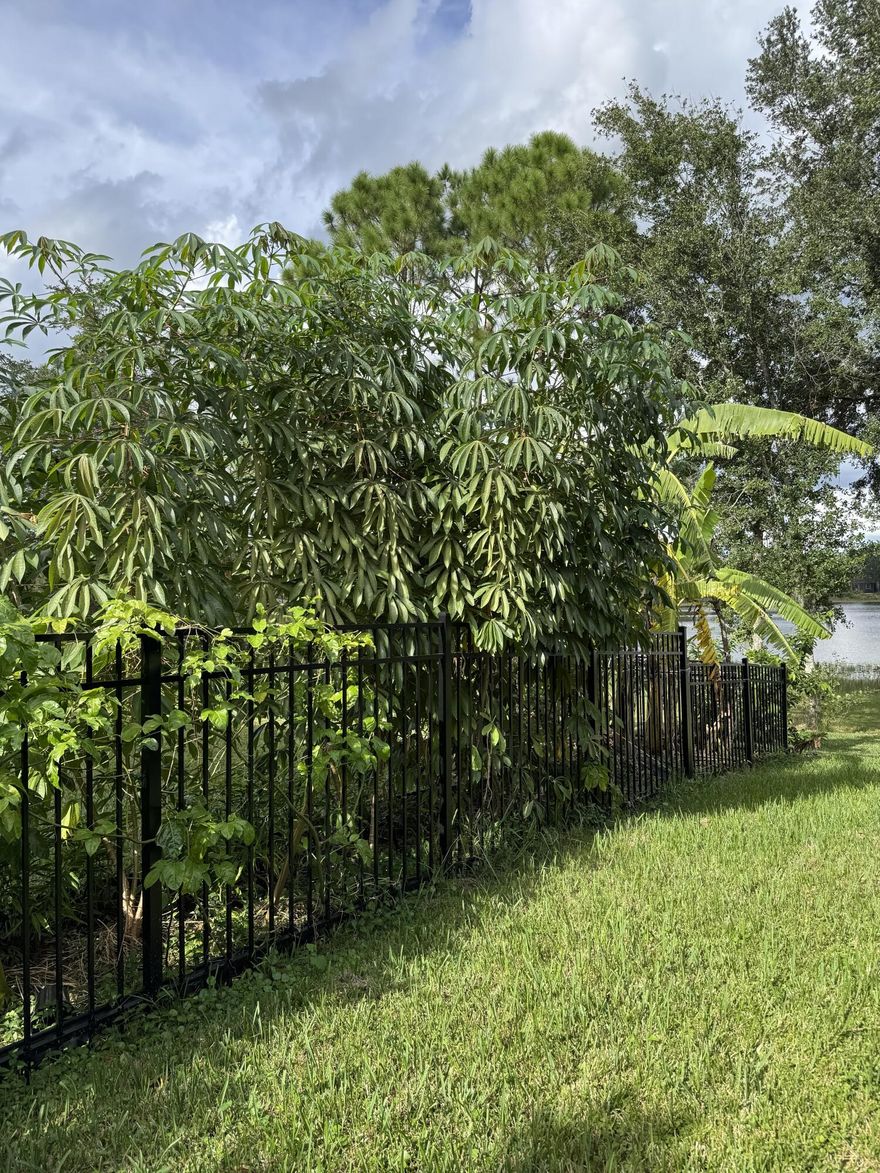 Beautifully updated 3Bed/2Bath house in a nice & quiet family neighborhood with excellent schools. Renovated  Kitchen and Bathrooms.  Vinyl Flooring. Screened Patio. Big Fenced Yard. Attached one-car garage. Convenient Location.