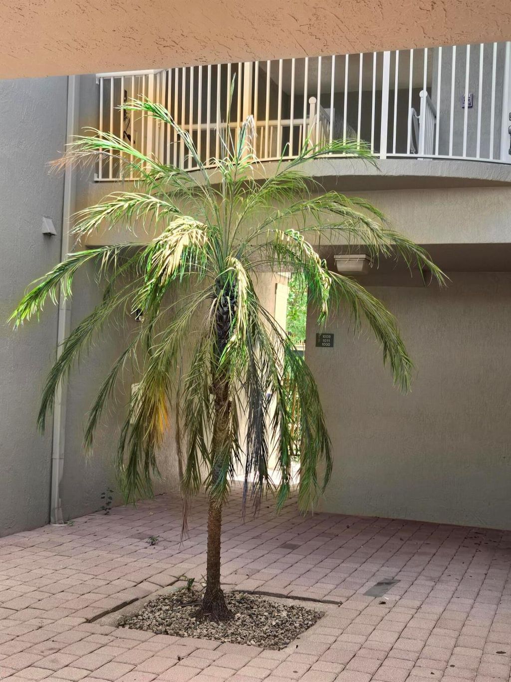 Photo of 1011 Shoma Drive, Royal Palm Beach, FL 33411 (MLS # R11110987)