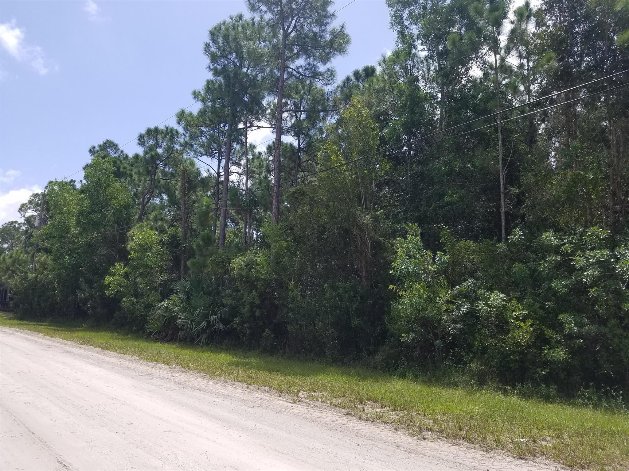 Probably the best lot currently on the market west of Seminole Pratt. Loaded with tall pines and surrounded by very nice homes. Just off Paved Mandarin. 5 Star Beauty