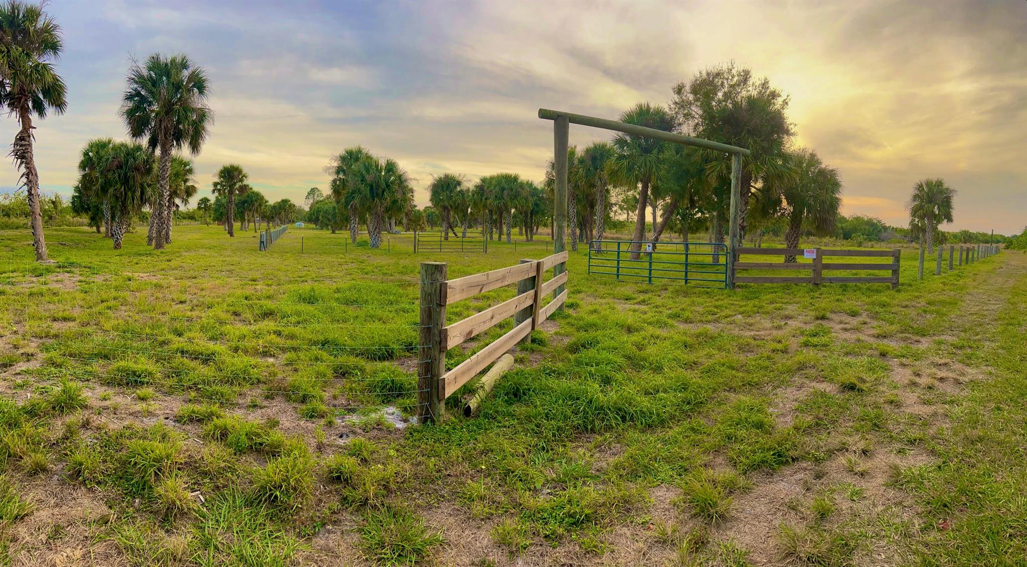 Sunrise/Sunset Groves - Land