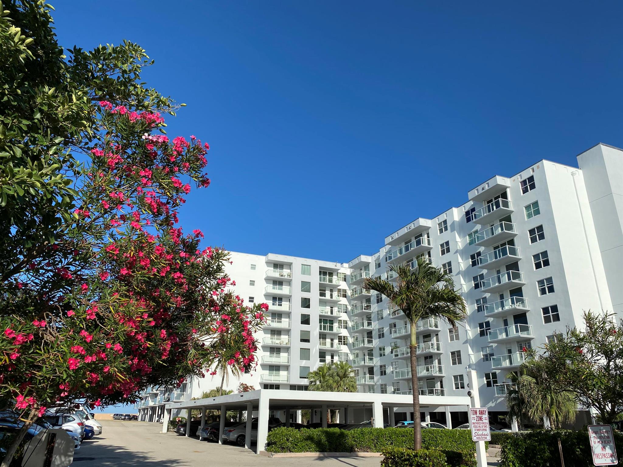 PATRICIAN OF PALM BEACH C - Residential Lease