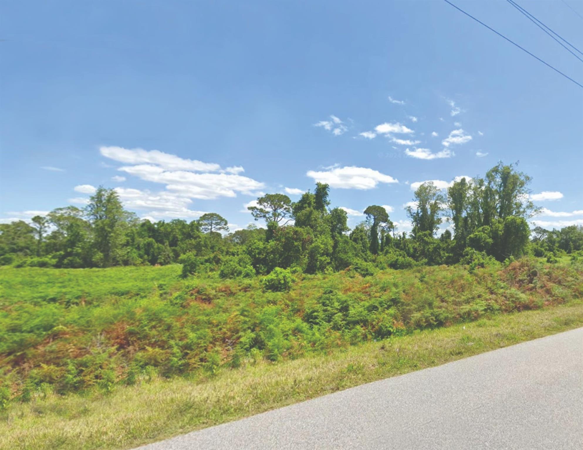 Build your dream home on this spacious well priced residential lot in Highlands Park Estate! Located on a paved public road, 449 Hallmark Ave offers easy access and a peaceful setting just minutes from Lake Placid’s charming downtown. Utilities are nearby, and most homes in the area utilize private septic systems. Whether you're planning a future build or investing in land, this property combines convenience with a Florida lifestyle appeal.