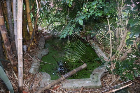 Tiny photo for 607 EL VEDADO, West Palm Beach, FL 33405 (MLS # B26090731)