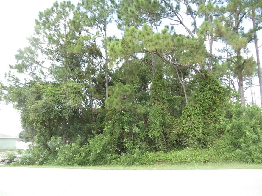 Great location to build your new home. Close to St Lucie West and I-95. Also short distance to Sportsman Park.