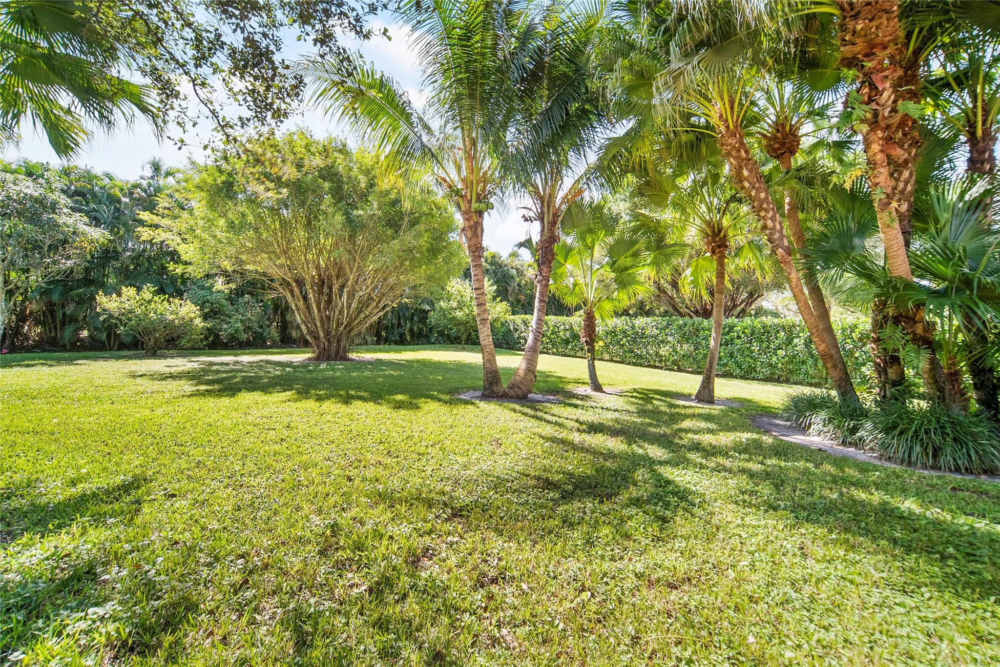 Cypress Head - Residential
