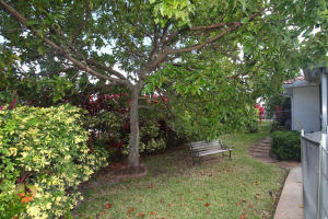 RAMBLEWOOD - Residential