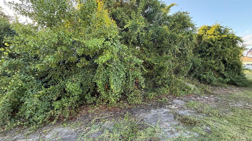 Discover an excellent opportunity to build on this spacious lot located at 4462 SW Gainesboro Drive, Port St. Lucie, FL. This property sits in a desirable area with convenient access to both the Florida Turnpike and I-95, making commuting throughout the Treasure Coast and South Florida fast and easy. You'll enjoy being just minutes from popular shopping and dining options including Culver's, Carrabba's, First Watch, Chipotle, Panera Bread, Starbucks, and the bustling Tradition area with even more restaurants, retail, and entertainment. Whether you're planning your future home or investing in one of Port St. Lucie's fastest-growing corridors, this location offers incredible potential and everyday convenience.