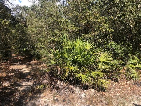 0 Oregon St Interlachen FL 32148