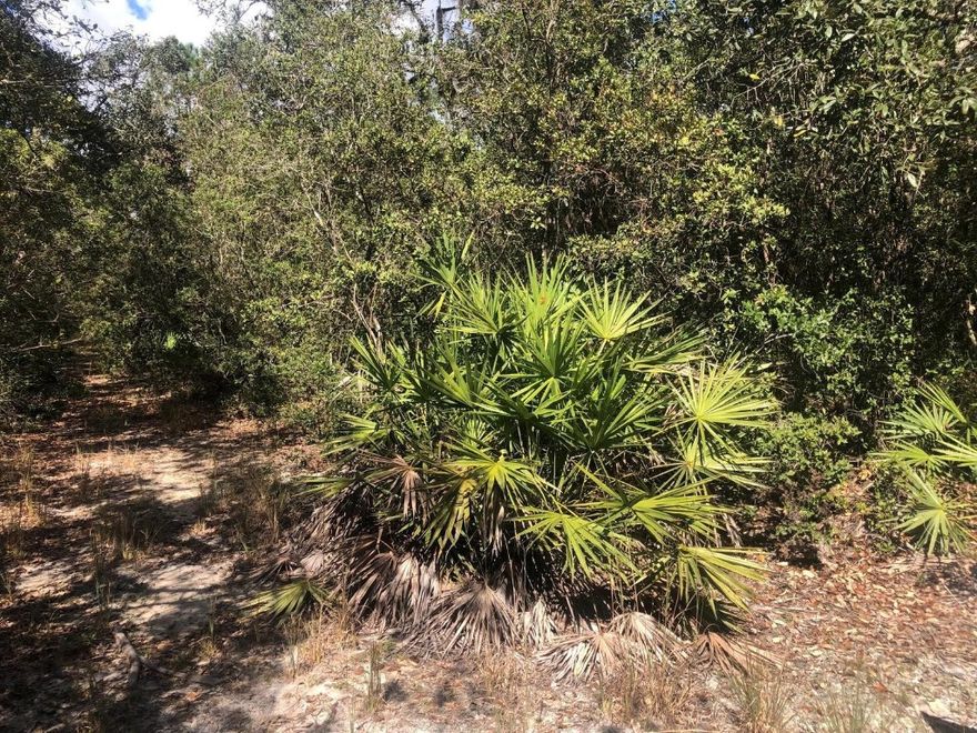 Owner Finance Available with only $1,500 down. Adjacent properties available.Putnam County building lot. Close to the lake and surrounded by nature.