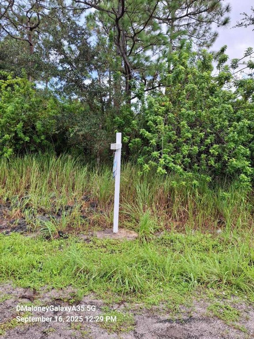 Beautiful vacant lot on a Paved Street in Palm Bay.  With Water darainage at the rear of the propertry.  0.24 acre buildable single family residential lot available in Port Malabar Unit #30 of Palm Bay. Located in the southwest section with a drainage right-
of-way easement in the back of the lot, this lot is just 2.2 miles - 5 minutes to Westside Elementary School, 4.1 miles - 8 minutes to the Publix Supermarket, 15

miles - 28 minutes to Melbourne Airport, and 16.9 miles - 31 minutes to the beaches of Indialantic. From exit #173 of I-95 go west on Malabar Road NE for .2
miles, left on San Filippo Drive SE for 7.3 miles, and left on Cambria Avenue.