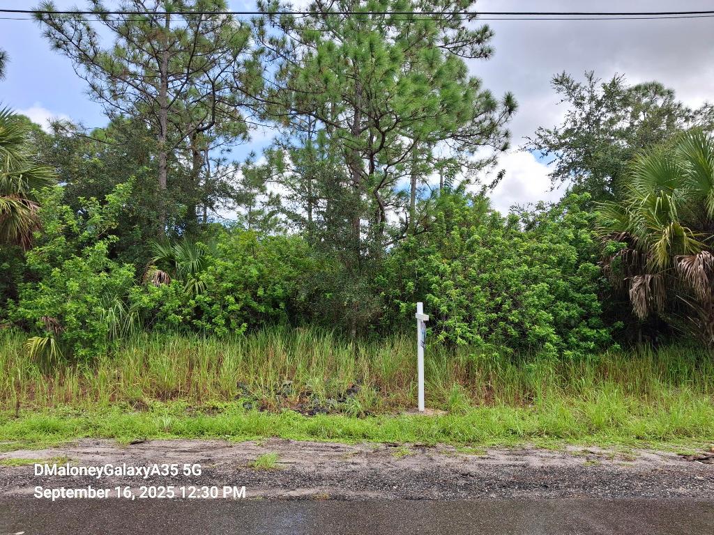 PORT MALABAR
UNIT 30 - Land