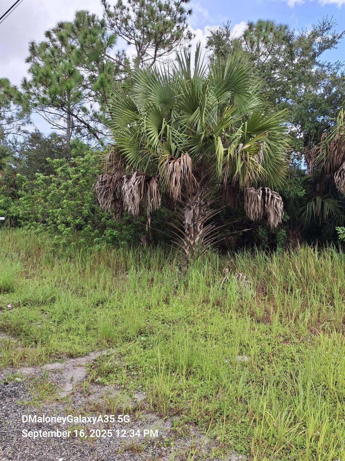 PORT MALABARUNIT 30 - Land