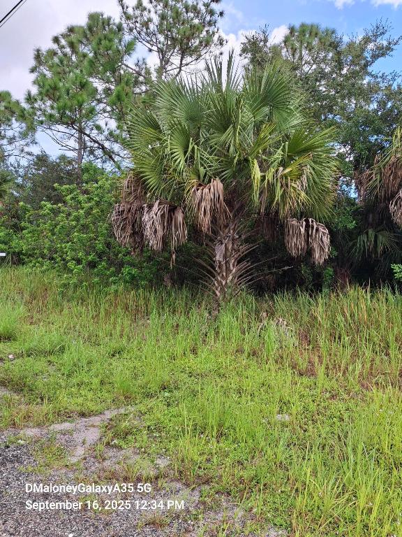 PORT MALABAR
UNIT 30 - Land