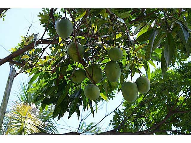 ALMEDA - Residential