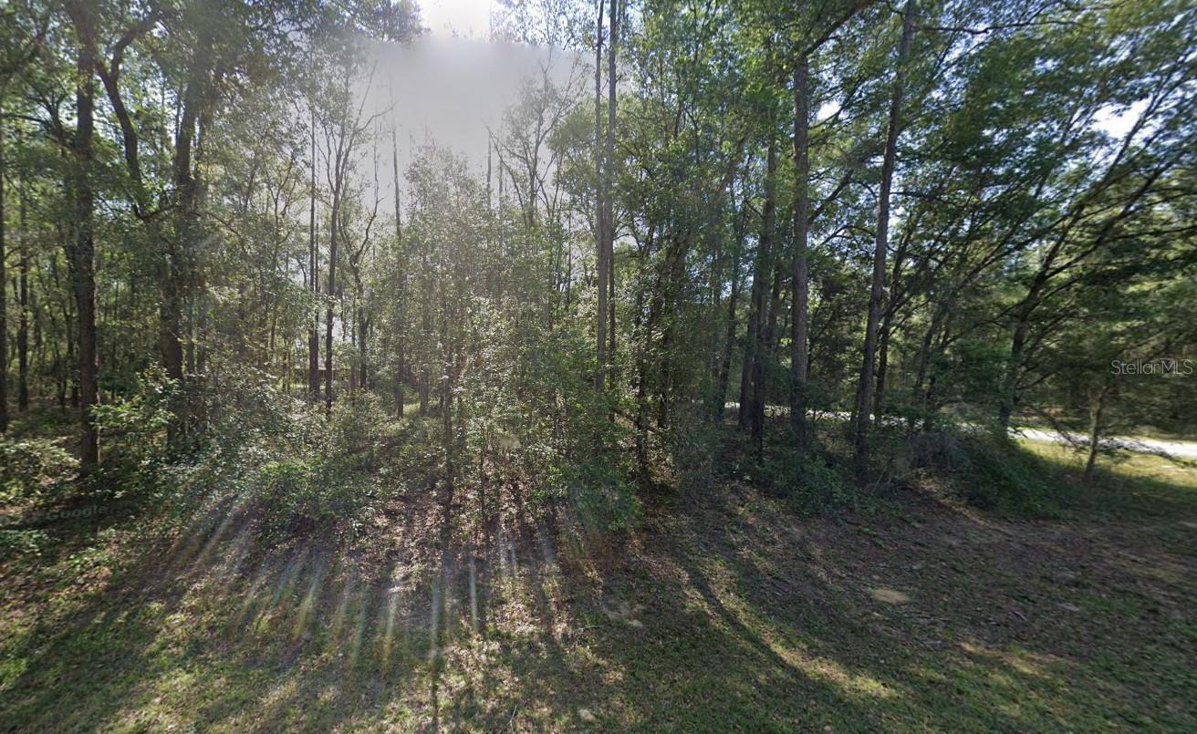 9123 N Patch Drive