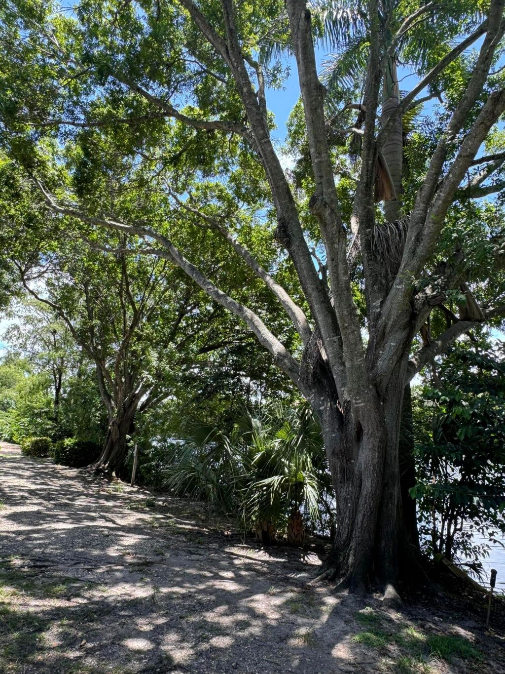 Photo of 2315 N Congress Avenue #26, Boynton Beach, FL 33426 (MLS # R11042350)