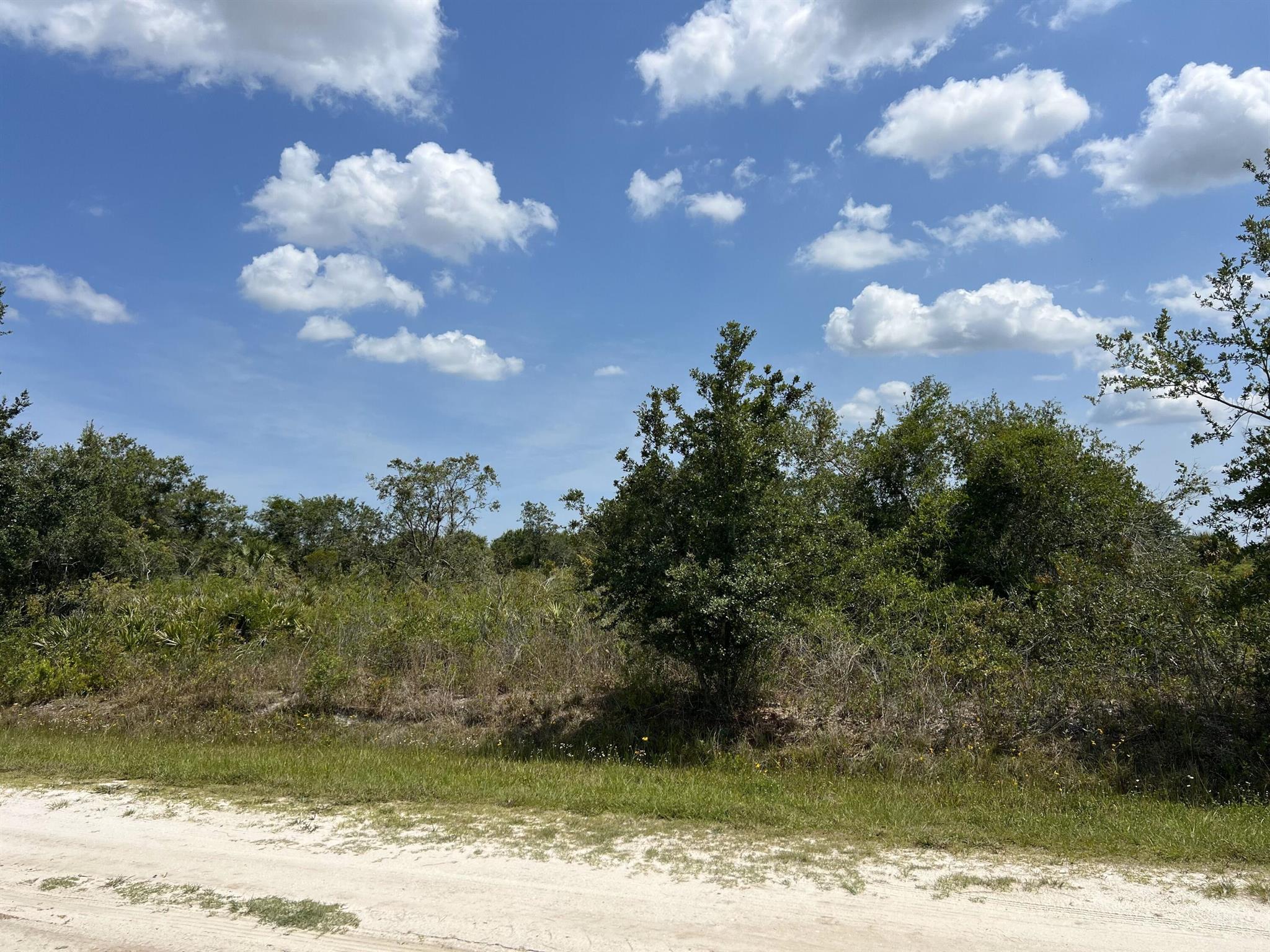 Southern Colonization Company
{Viking} - Land