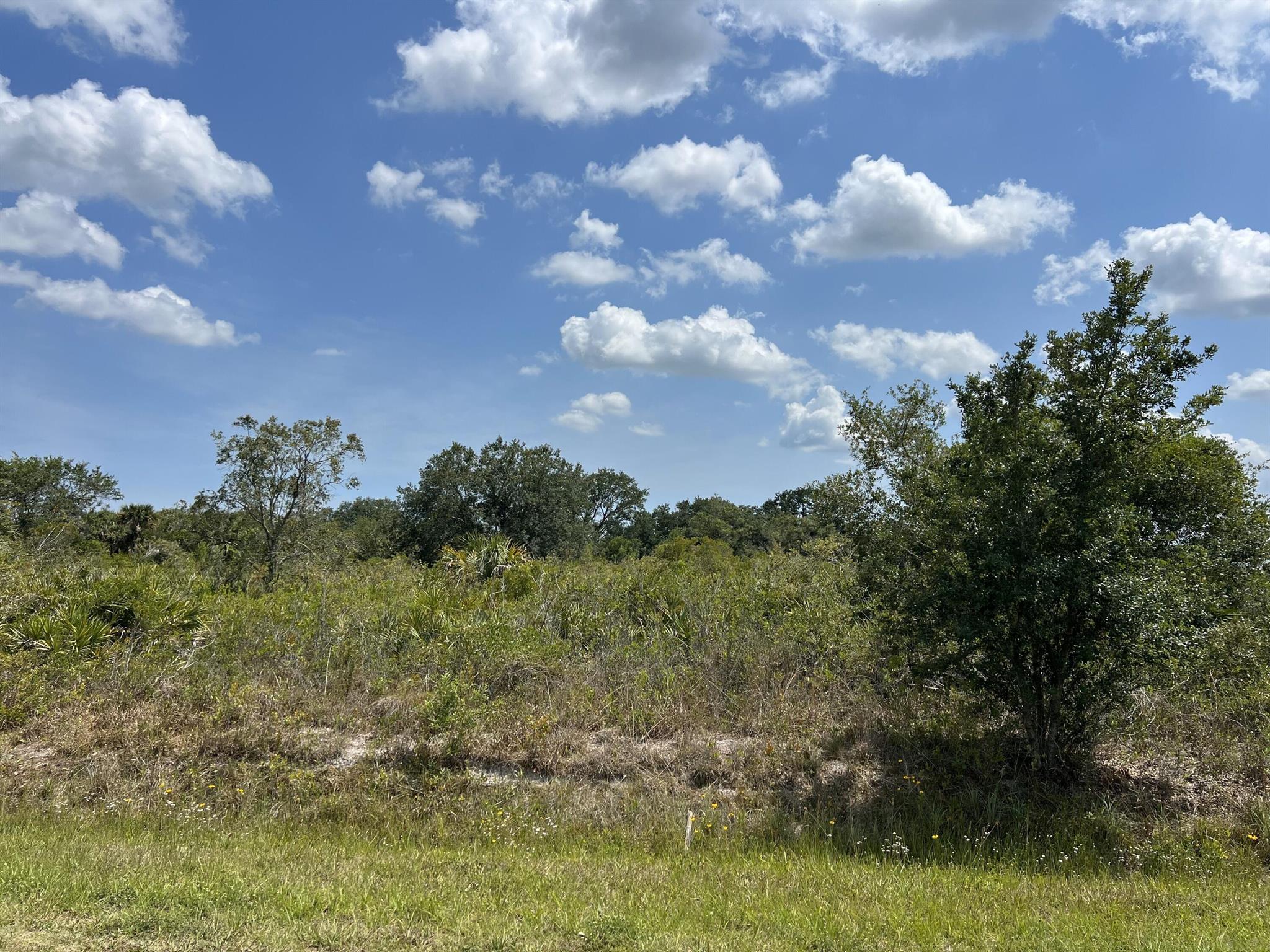 Southern Colonization Company
{Viking} - Land