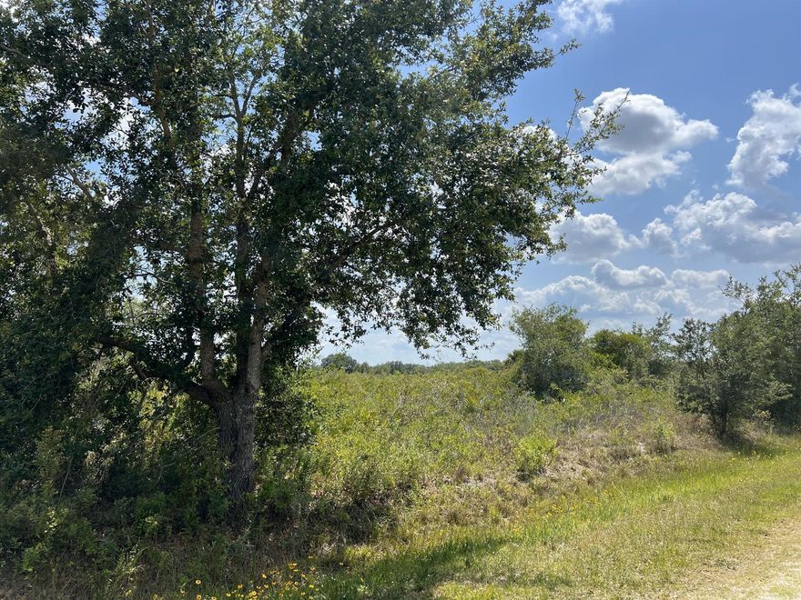 1.25 Acres in the Viking Estates.  Just 5 minutes from Kissimmee Prairie State Park, the darkest place in Florida for star observation.  Ride 4 wheelers, enjoy wildlife, have farm animals, a pond for fishing and garden. High & Dry. Electric power is across the street.  Lot is approximately 30 minutes from the heart of Okeechobee.  Enjoy your dream.  Buyer to verify intended use