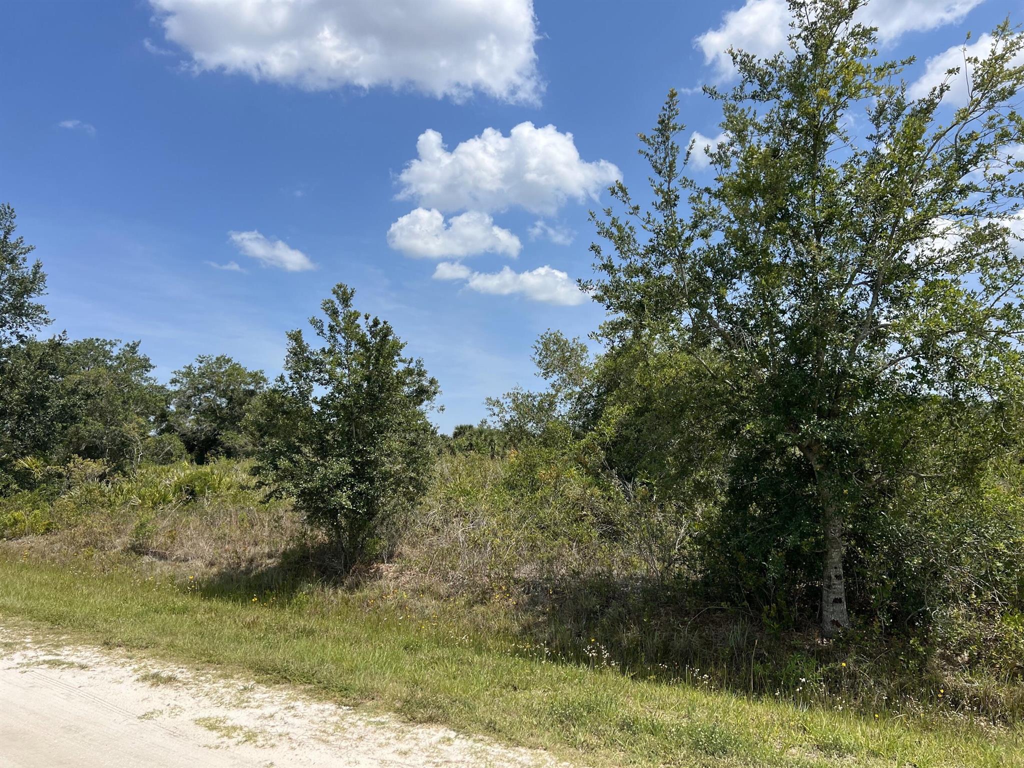 Southern Colonization Company
{Viking} - Land