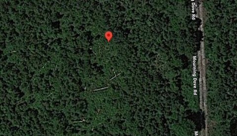 223 Mourning Dove Road Satsuma FL 32189