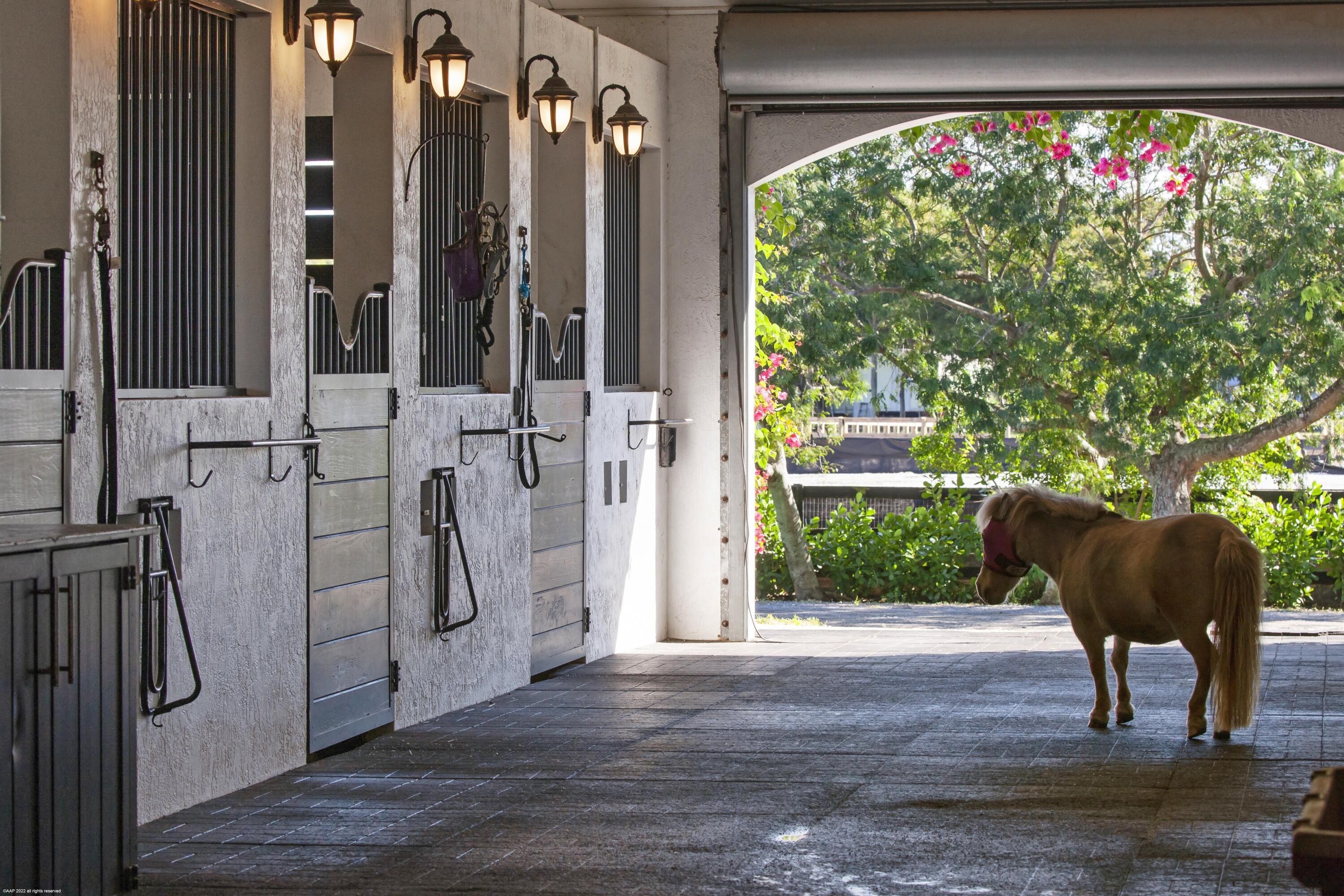 Rustic Ranches - Residential