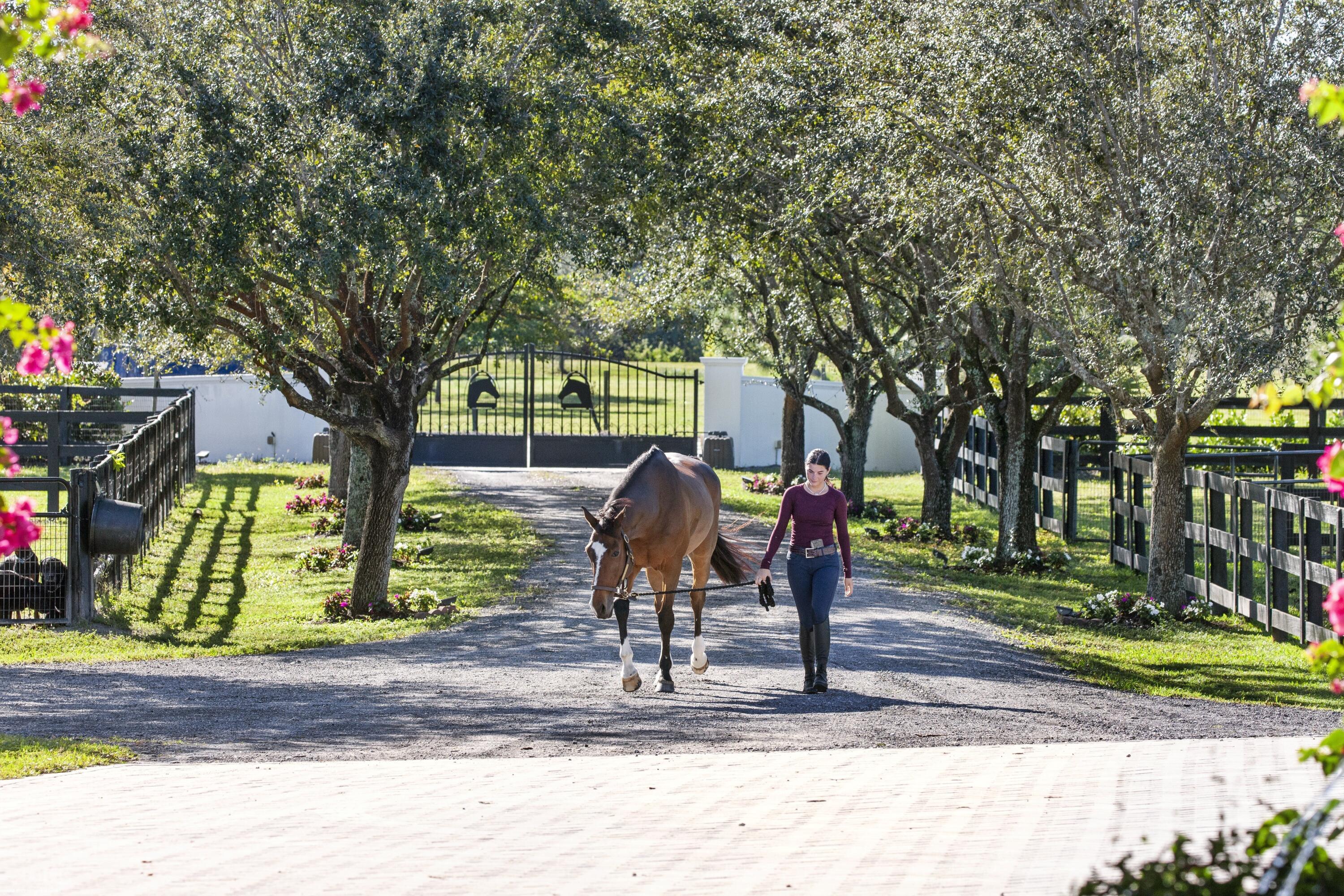 Rustic Ranches - Residential